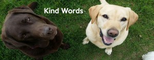 kindwords